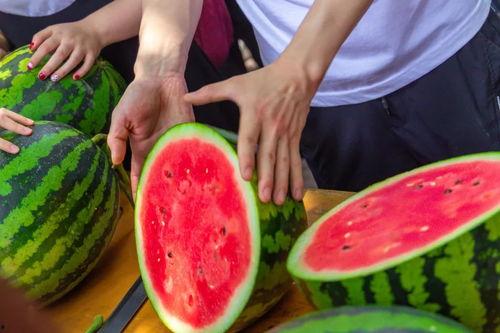 52吃瓜爆料免费吃瓜视频 吃瓜爆料