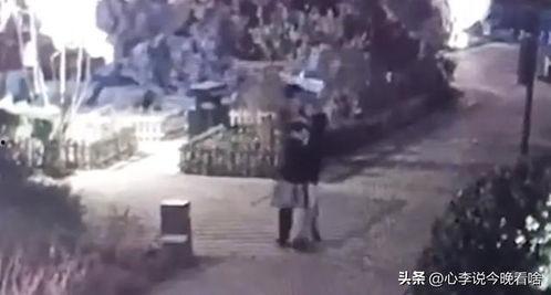 吃瓜视频大全完整版观看 吃瓜大赛,揭秘吃瓜视频大全完整版观看背后的精彩瞬间