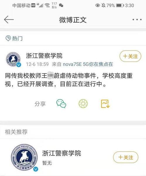 社会热点事件视频 朝阳吃瓜网51,揭秘社会热点事件背后的真相